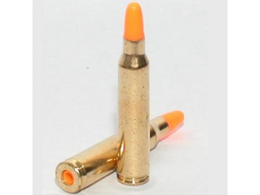 Munitions factices .223/5.56mm inertes (orange)